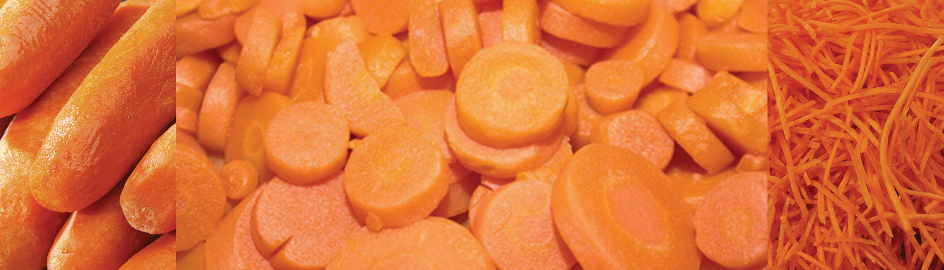 carottes éboutées, carottes pelées, carottes en rondelles, carottes rapées